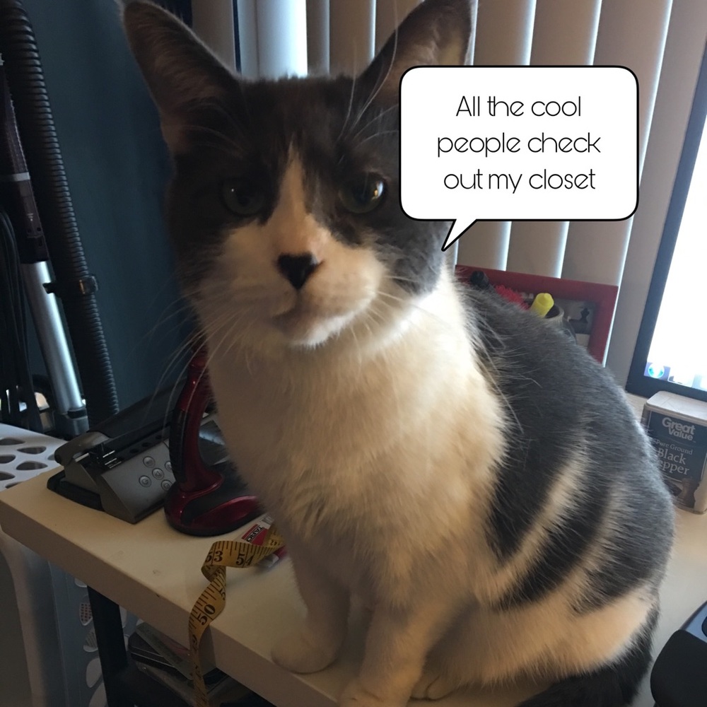 Meet your Posher, David